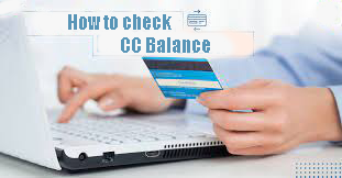 check cc balance skype method